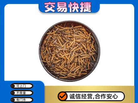 深圳回收散虫草